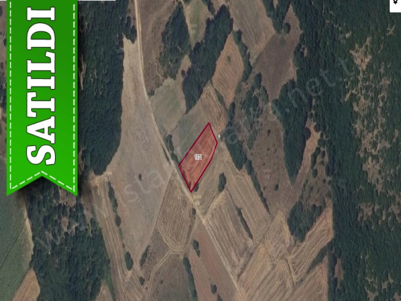 Edirne Uzunköprü Kırkkavak Köyünde Satılık Tarla , 1,350 m2 Yolu Var Müstakil