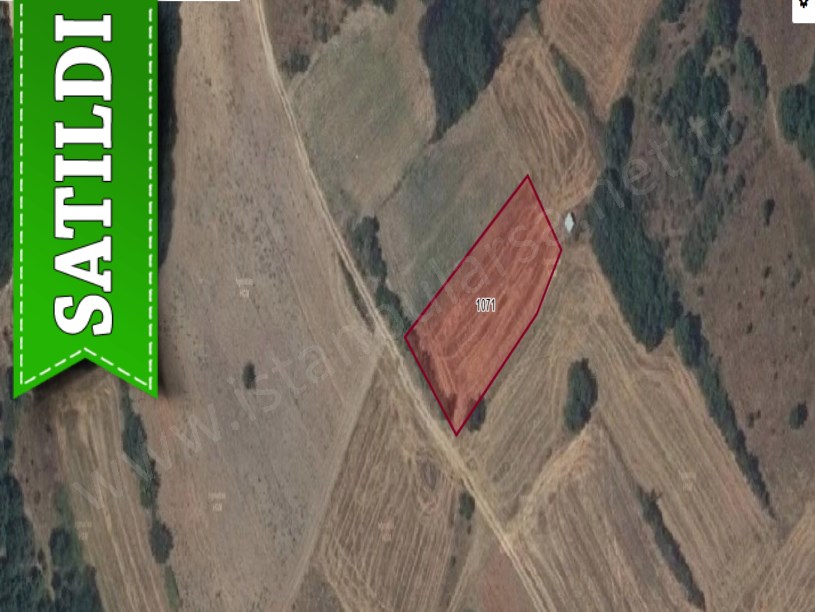 Edirne Uzunköprü Kırkkavak Köyünde Satılık Tarla , 1,350 m2 Yolu Var Müstakil