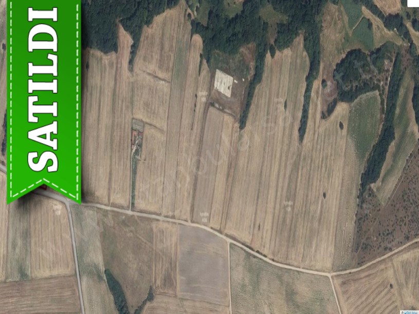 Edirne Uzunköprü Kırcasalih Köyünde Satılık Tarla , 11,370 M2 Yola Cephe