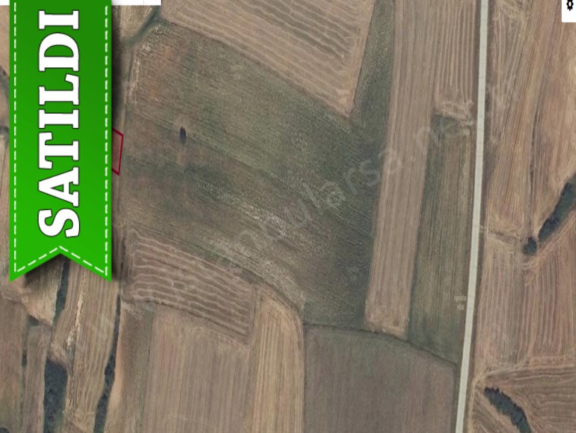 Kırklareli Babaeski Erikleryurdu Köyünde Satılık Tarla , 1,466 M2 Müstakil