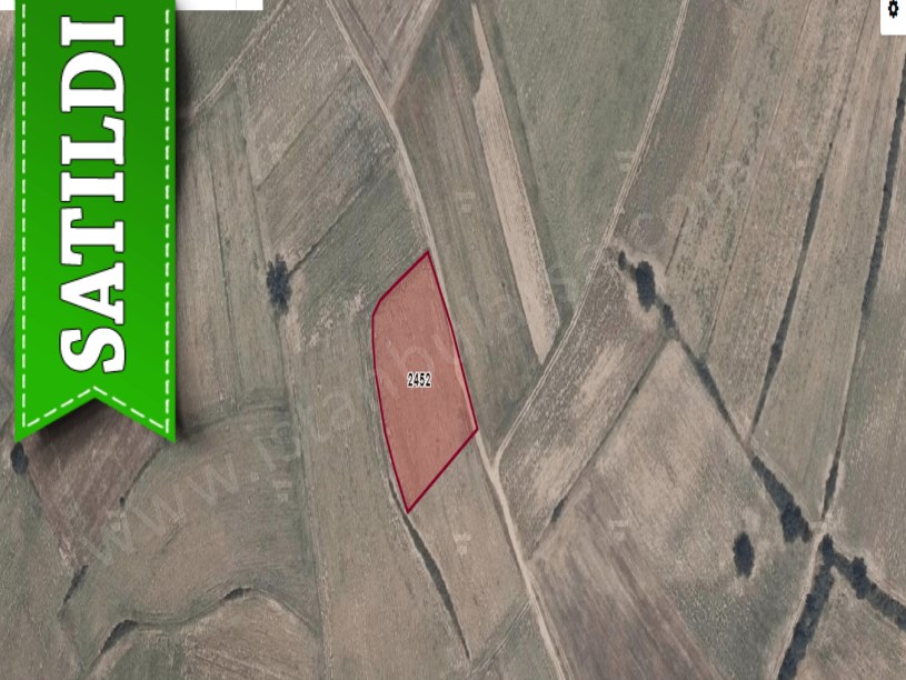 Edirne Uzunköprü Kurtbey Köyü Satılık Tarla , 3,821 m2 Yolu Var Müstakil