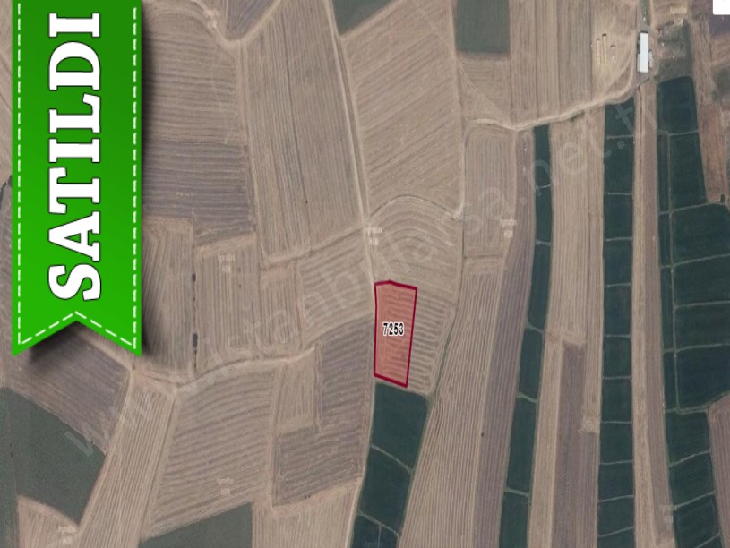 Edirne Uzunköprü Kurtbey Köyü Satılık Tarla , 3,658 M2 Müstakil Yolu Var