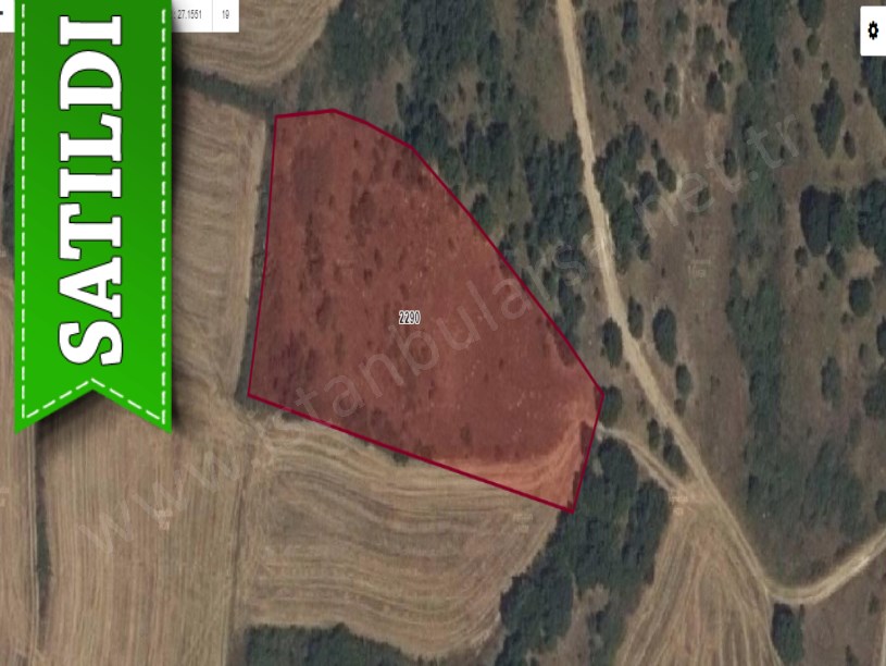 Kırklareli Babaeski Yeniköyde Satılık Tarla , 5,350 M2 Müstakil Yolu Var