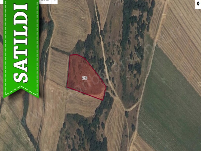 Kırklareli Babaeski Yeniköyde Satılık Tarla , 5,350 M2 Müstakil Yolu Var