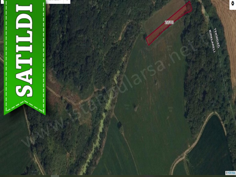 Kırklareli Pehlivanköy Kurtuluş Köyünde Satılık Tarla , 1,353 M2 Müstakil 