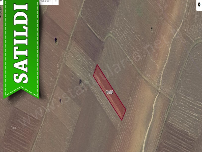 Kırklareli Pınarhisar Sütlüce,de Satılık Tarla , 2,168 M2 Yolu Var Evlere Yakın 