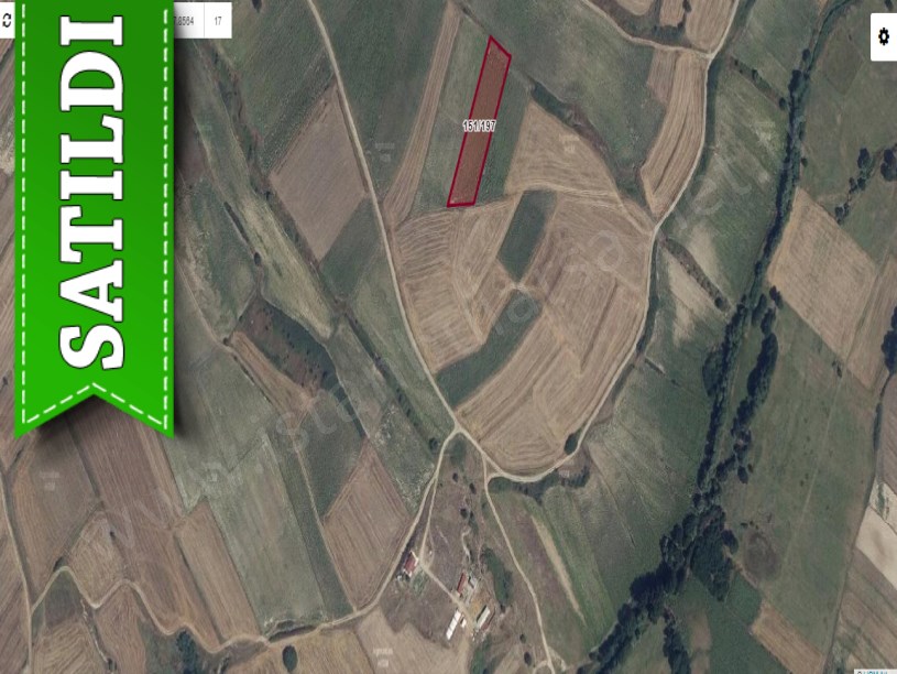 Tekirdağ Saray Çukuryurtta Satılık Tarla , 3,830 M2 Müstakil 