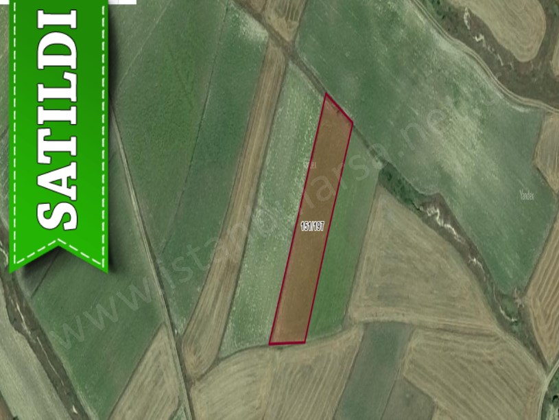 Tekirdağ Saray Çukuryurtta Satılık Tarla , 3,830 M2 Müstakil 