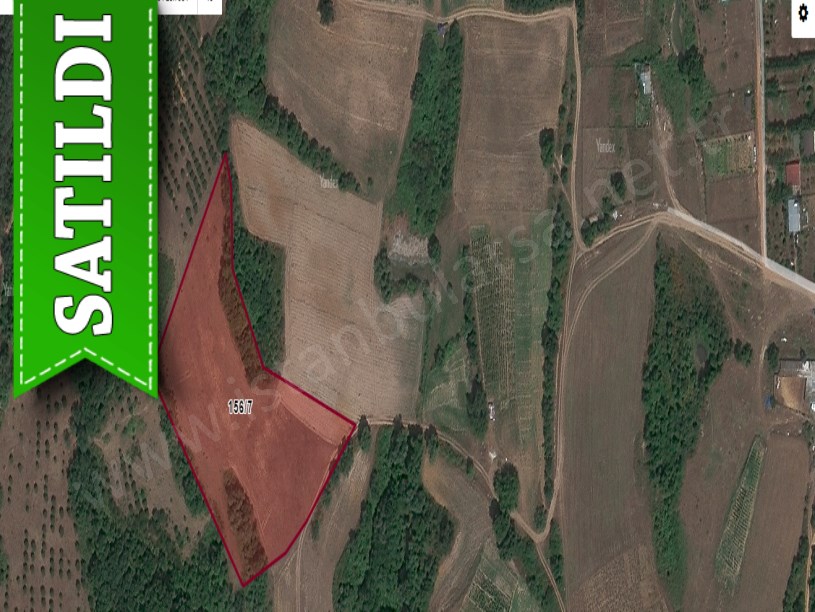 Arnavutköy Yeniköyde Satılık Arsa  , 4 Dönüm Yolu Var Evlerin Yakını 