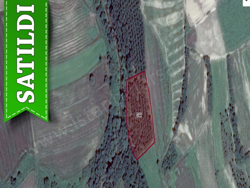 Kırklareli Pehlivanköy Kumköyde Satılık Arsa , 783 m2 Hisseli Yolu Var