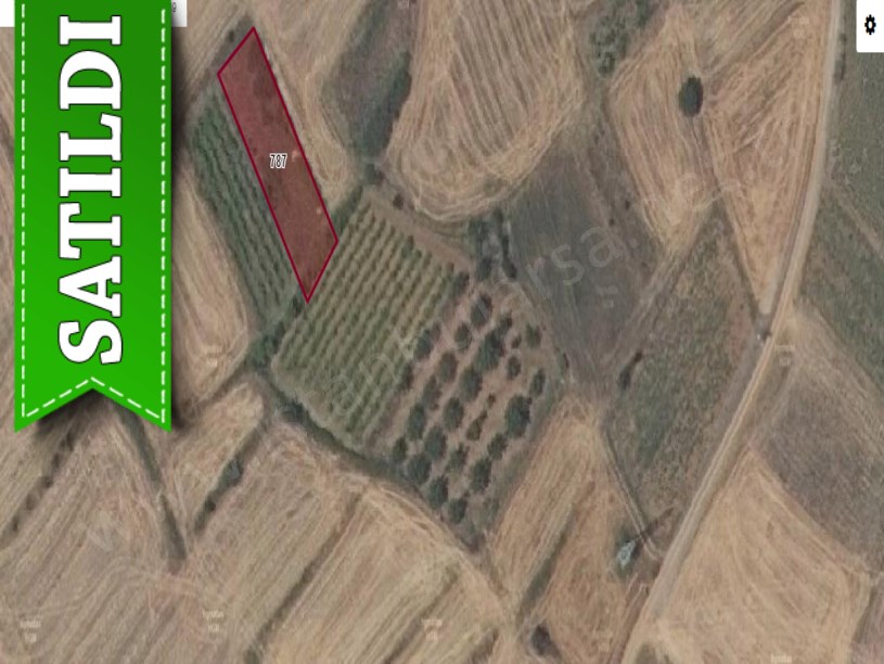 Edirne Uzunköprü Beykonak Köyünde Satılık Tarla , 600 M2 Müstakil 