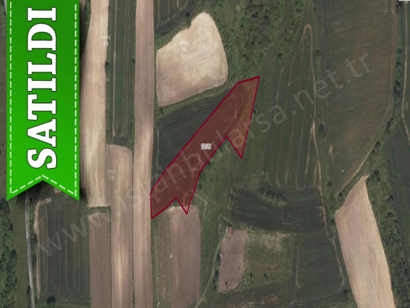 Arnavutköy Balabanda Satılık Arsa , 175 M2 Hisseli 