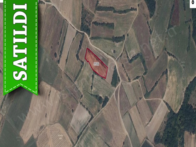 Edirne Uzunköprü Kurtbey Köyü Satılık Tarla , 5,300 m2 Müstakil 