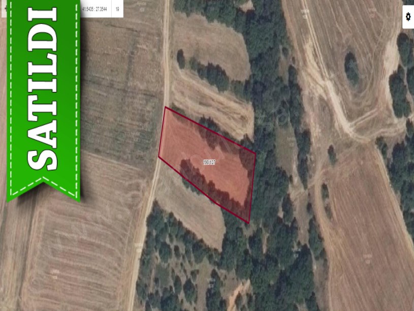 Kırklareli Lüleburgaz Celaliyede Satılık Tarla , 1,675 M2 Yolu Var Çevrili Müstakil