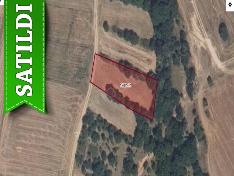 Kırklareli Lüleburgaz Celaliyede Satılık Tarla , 1,675 M2 Yolu Var Çevrili Müstakil