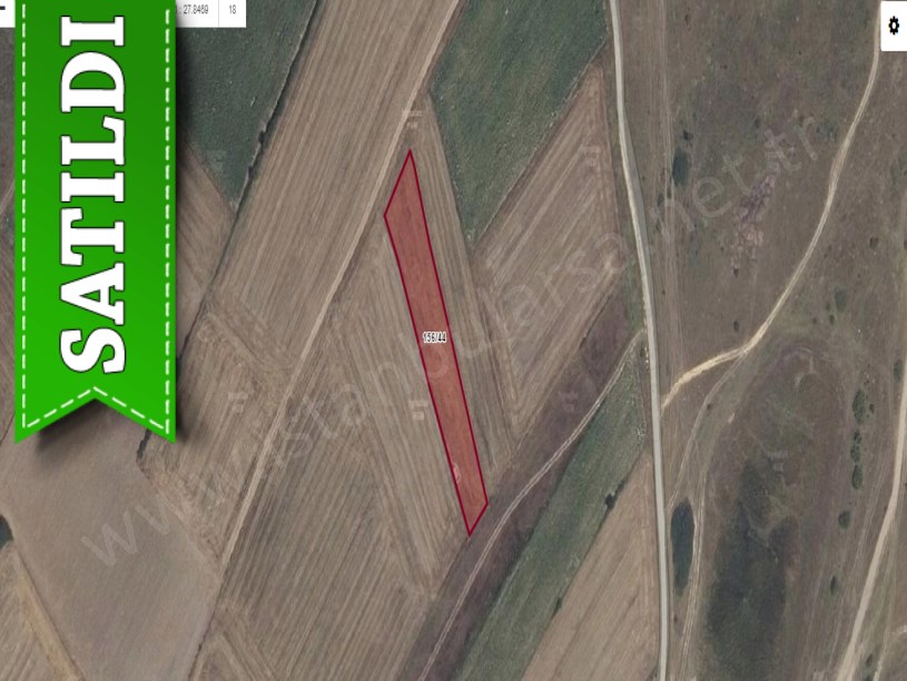 Tekirdağ Saray Çukuryurtta Satılık Tarla , 2,540 M2 Yolu Var Müstakil