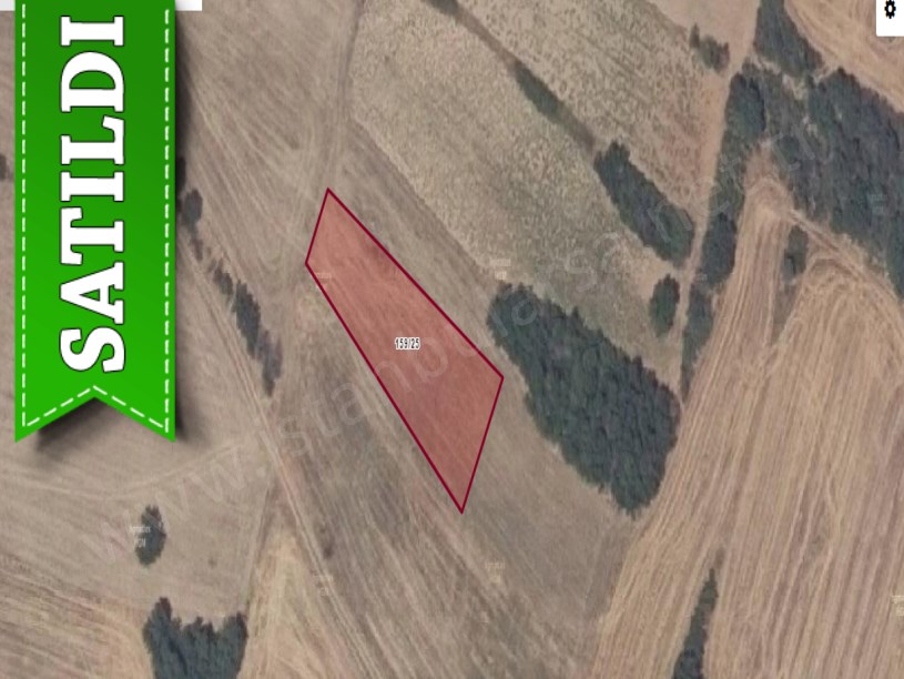 Kırklareli Merkez Kayalı Köyünde Satılık Tarla , 1,219 M2 Müstakil