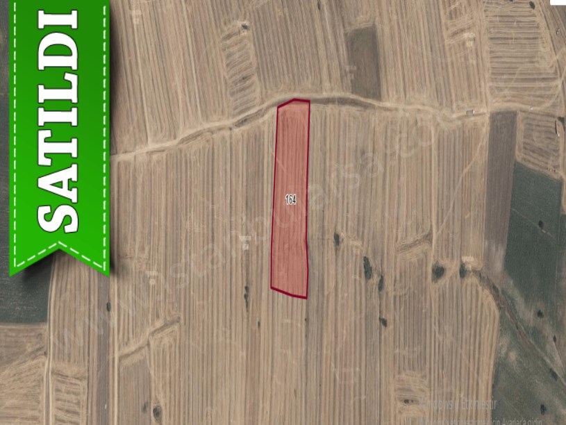 Kırklareli Pehlivanköy Doğanca Köyünde Satılık Arsa , 976 M2 Hisseli 