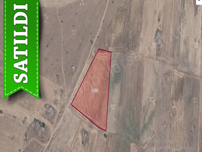 Edirne Süloğlu Tatarlar Köyünde Satılık Tarla , 7,850 M2 Müstakil Yolu Var