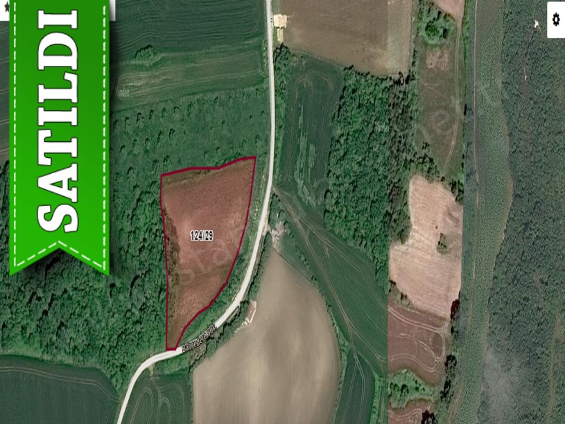 Çatalca Dağyenicede Satılık  Arsa , 305 M2 Çaplı Yolu Var Evlerin Yakını 