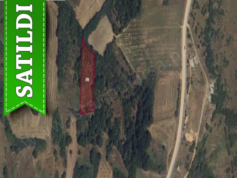 Kırklareli Pehlivanköy Tilkipınar Köyünde Satılık Arsa , 320 m2 Hisseli 