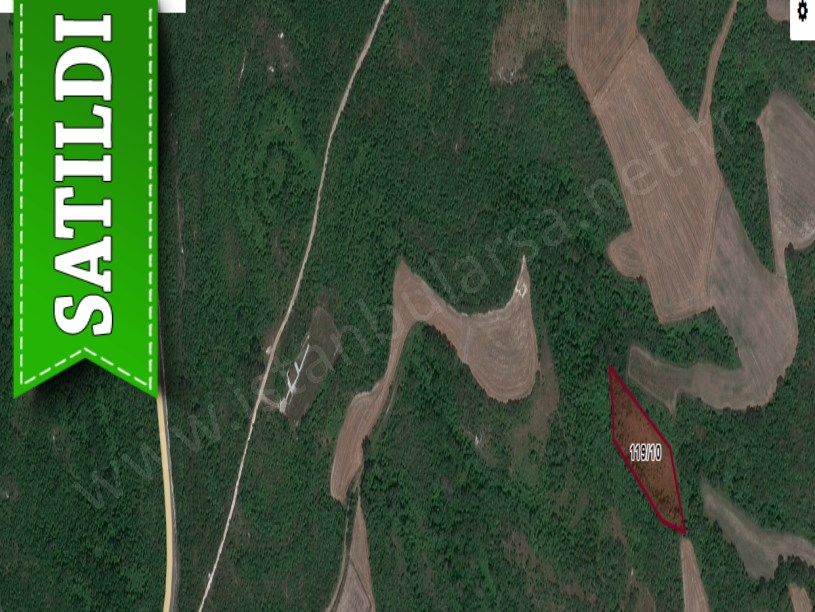 Arnavutköy Boyalıkta Satılık Arsa , 302 M2 Hisseli 