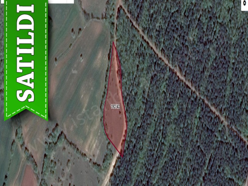 Kırklareli Vize Evrenlide Satılık Tarla , 4,300 m2 Müstakil Yolu Var