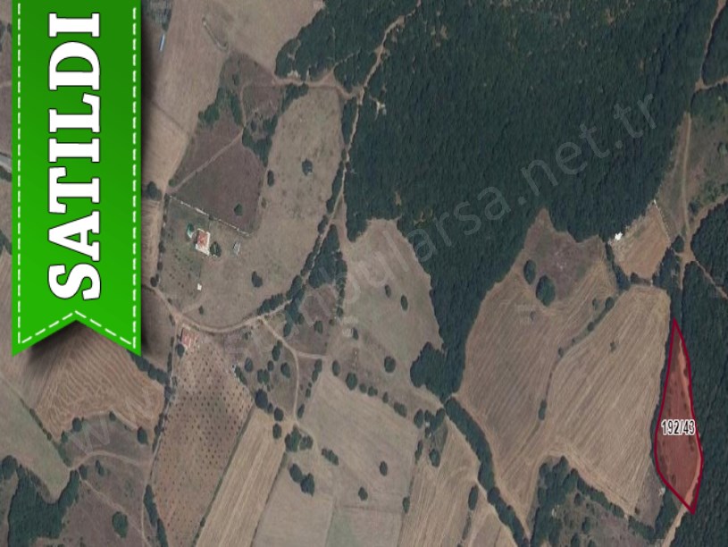 Kırklareli Vize Evrenlide Satılık Tarla , 4,300 m2 Müstakil Yolu Var
