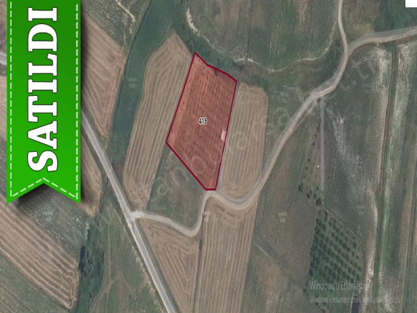 Kırklareli Lüleburgaz Ayvalı Köyünde Satılık Tarla , 6 Dönüm Yolu Var Müstakil
