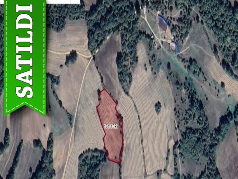 Kırklareli Kofçaz Ahmetler Köyünde Satılık Arsa , 668 m2 Yola Yakın Hisseli 