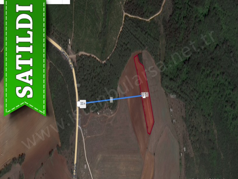Arnavutköy Hacımaşlıda Satılık Tarla , 5,956 m2 Tek Tapu İmarlı 