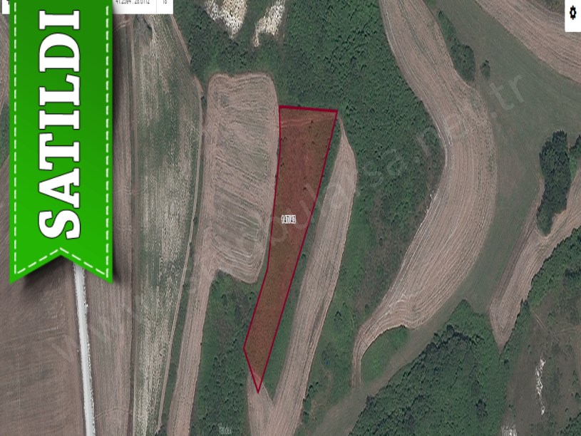 Arnavutköy Boyalıkta Satılık Tarla , 4,861 M2 Müstakil İmarlı
