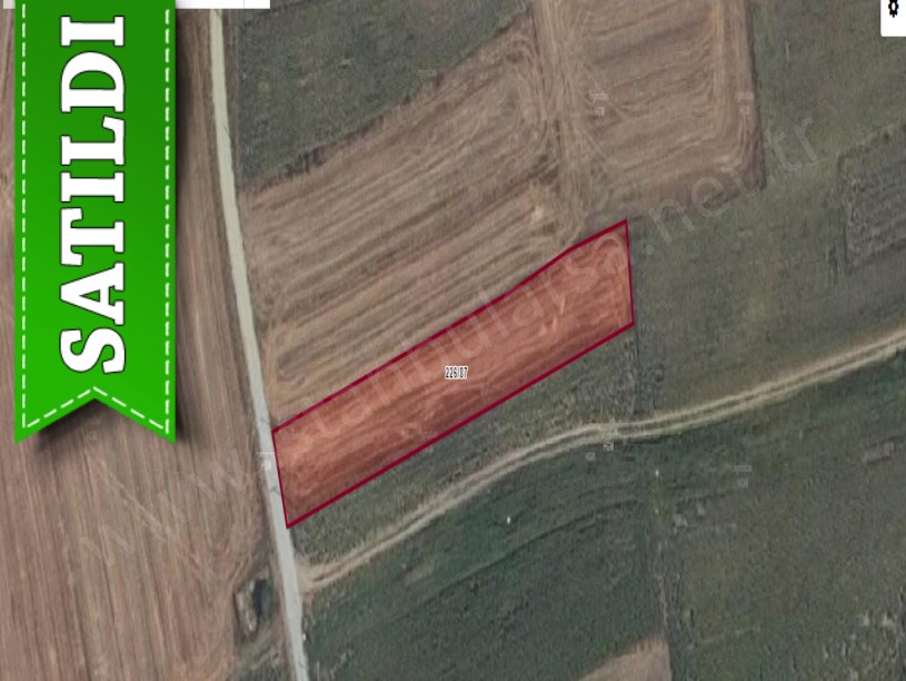 Tekirdağ Saray Beyazköyde Satılık Tarla , 1, 860 m2 Müstakil Yolu Var