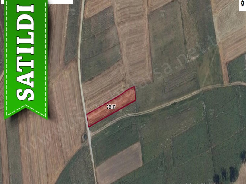 Tekirdağ Saray Beyazköyde Satılık Tarla , 1, 860 m2 Müstakil Yolu Var