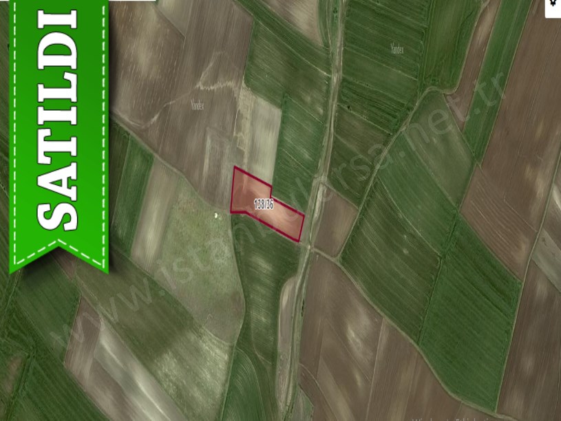 Tekirdağ Saray Kadıköyde Satılık Tarla , 5,122 m2 Tek Tapu Köye Yakın Yolu Var