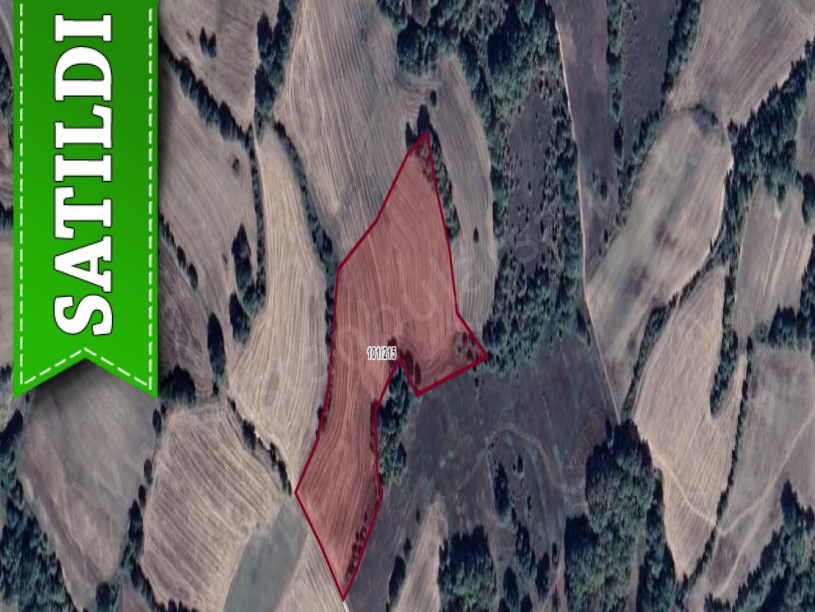 Kırklareli Kofçaz Ahmetler Köyünde Satılık Arsa , 889 m2 Hisseli Yolu Var