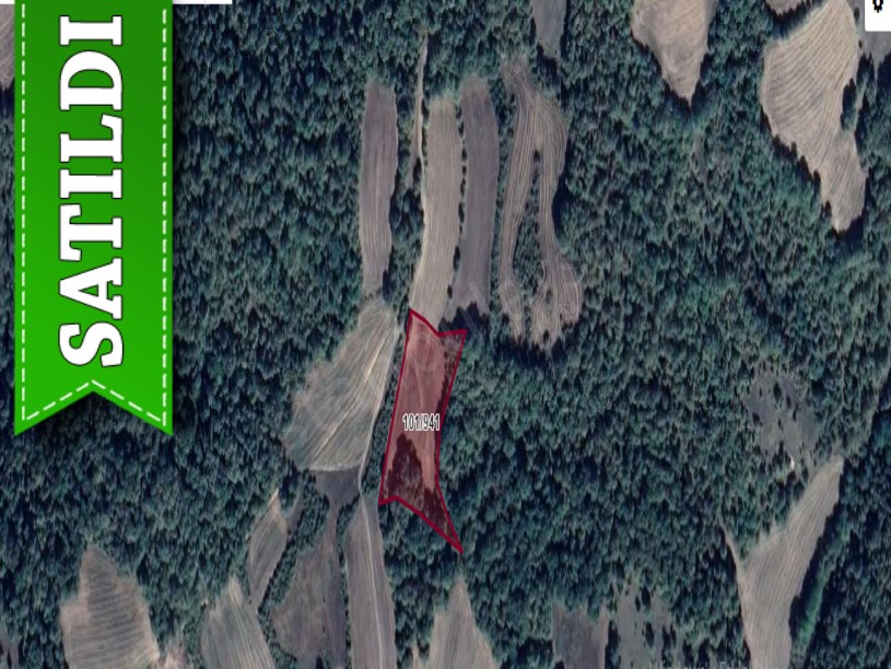 Kırklareli Kofçaz Ahmetler Köyünde Satılık Arsa , 516 M2 Yolu Var Hisseli 