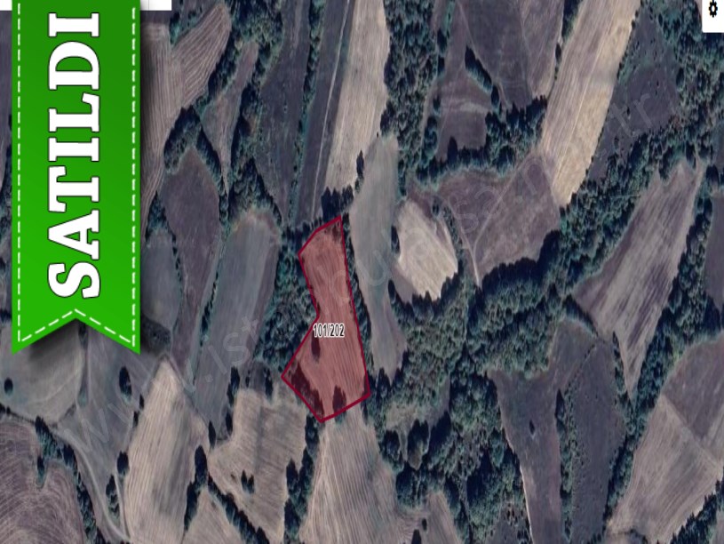 Kırklareli Kofçaz Ahmetler Köyünde Satılık Arsa , 1,131 m2 Hisseli 
