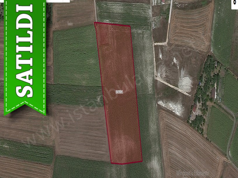 Çatalca Kestanelikte Satılık Arsa , 5,500 M2 Çaplı Yolu Var Evlerin Yakını