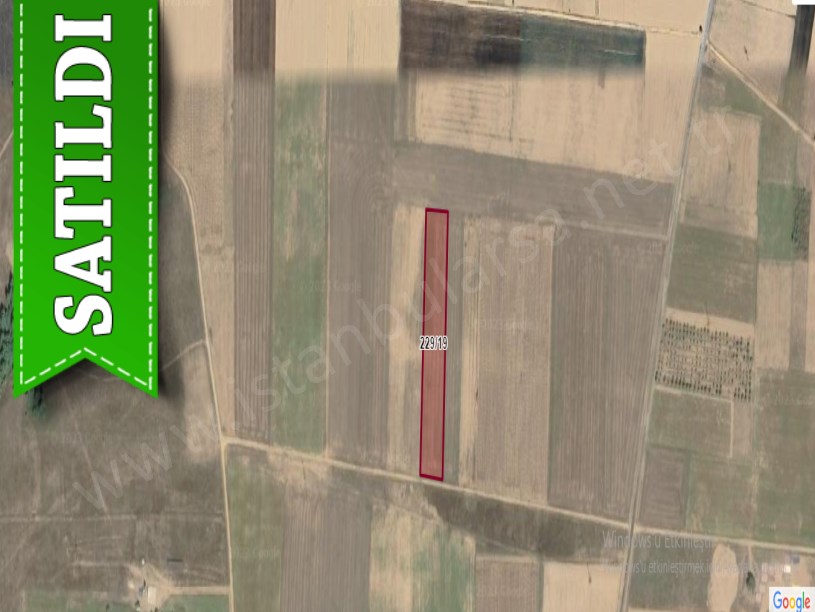 Edirne Meriç Alibey Köyünde Satılık Tarla . 6,597 m2 Yolu Var Müstakil