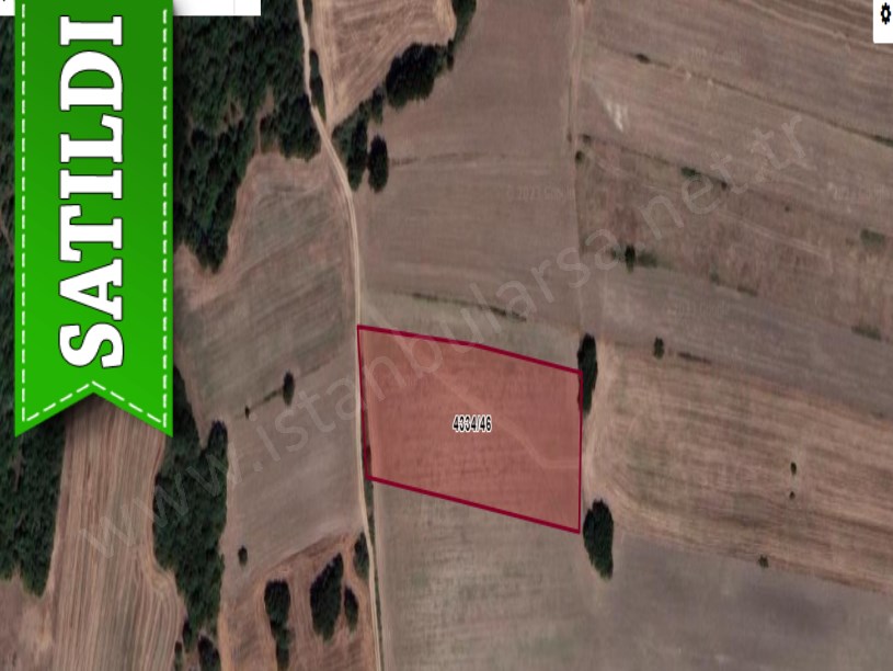 Silivri BüyükSineklide Satılık Arsa , 450 m2 Çaplı Resmi Yolu Var