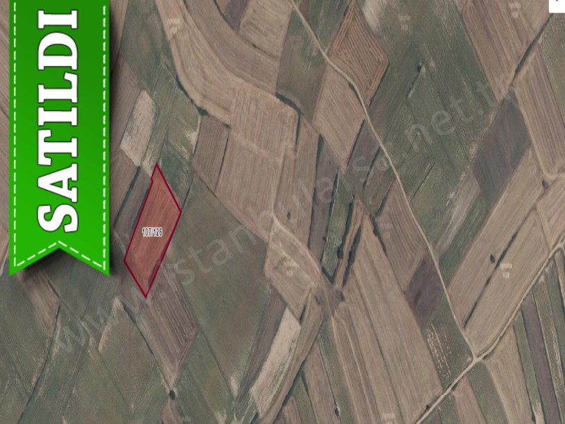Tekirdağ Saray Kurtderede Satılık Arsa , 1,490 M2 Hisseli 