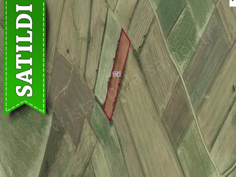 Tekirdağ Saray Kurtderede Satılık Arsa , 527 M2 Hisseli 