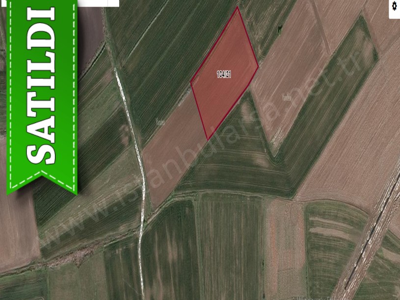 Tekirdağ Saray Çukuryurtta Satılık Tarla , 4,700 M2 Tek Tapu 