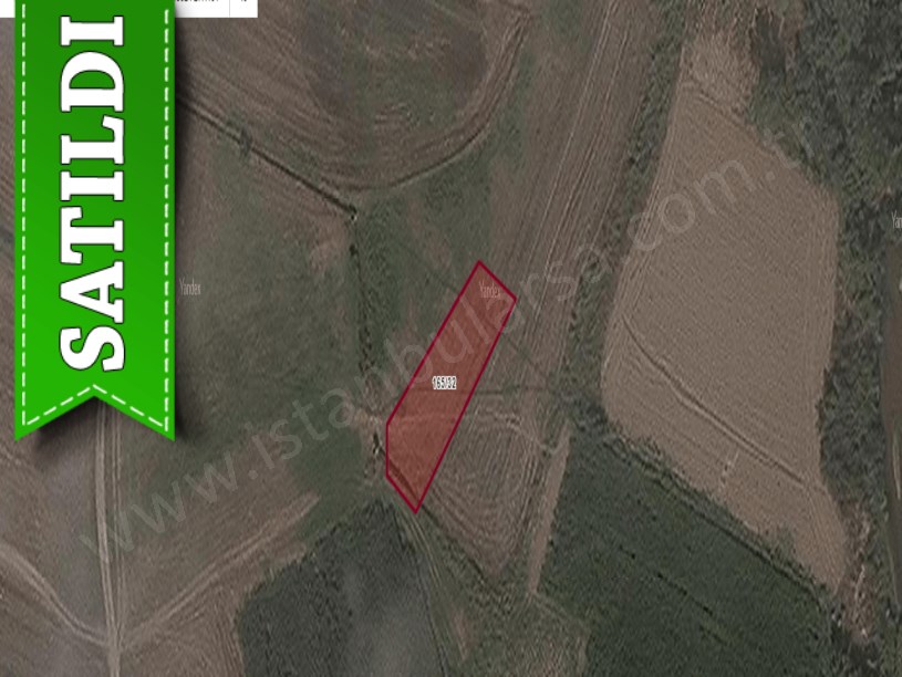 Kırklareli Babaeski Karamesutlu Köyünde Satılık Tarla , 641 M2 Müstakil