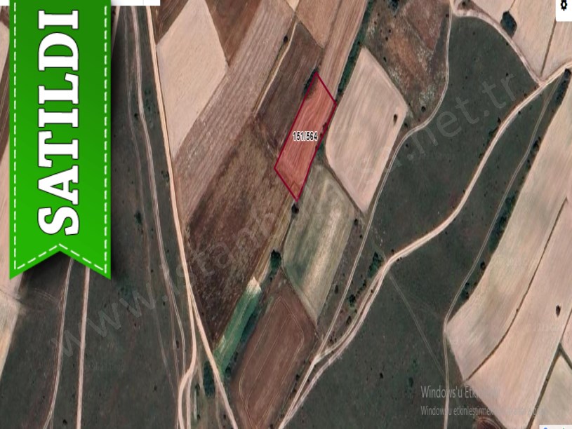 Tekirdağ Saray Çukuryurtta Satılık Tarla , 1,880 m2 Yolu Var Müstakil