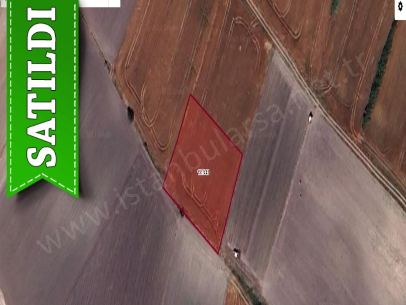 Tekirdağ Saray Çukuryurtta Satılık Tarla , 1,670 M2 Müstakil