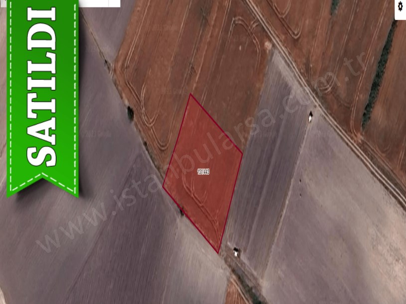 Tekirdağ Saray Çukuryurtta Satılık Tarla , 1,670 M2 Müstakil