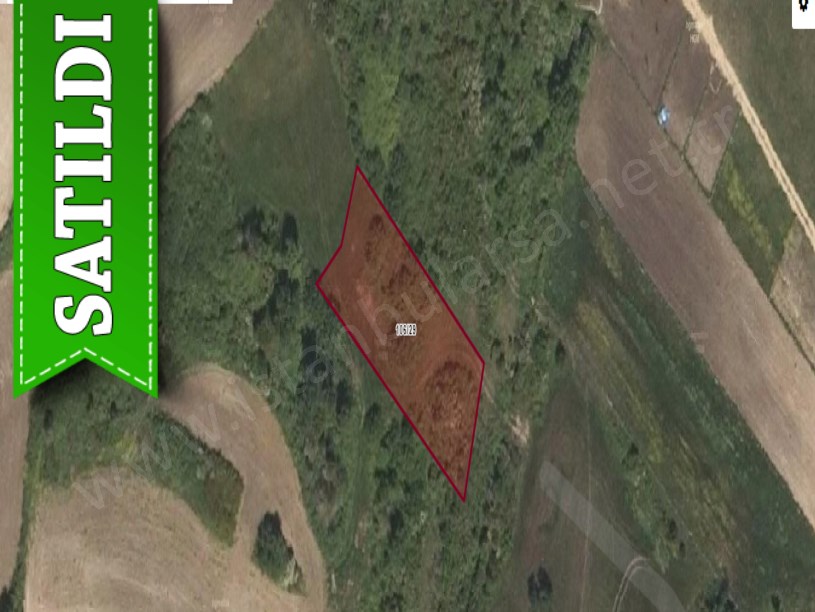 Çatalca Dağyenicede Satılık  Arsa , 248 M2 Çevrili Çaplı Yolu Var