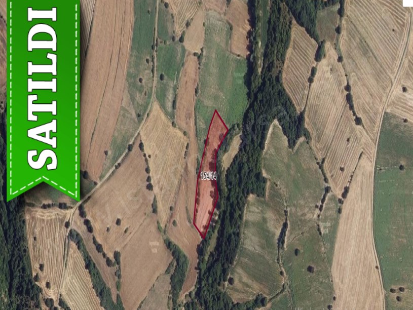Edirne Lalapaşa Hamzabeyli Köyünde Satılık Tarla , 6,343 m2 Müstakil